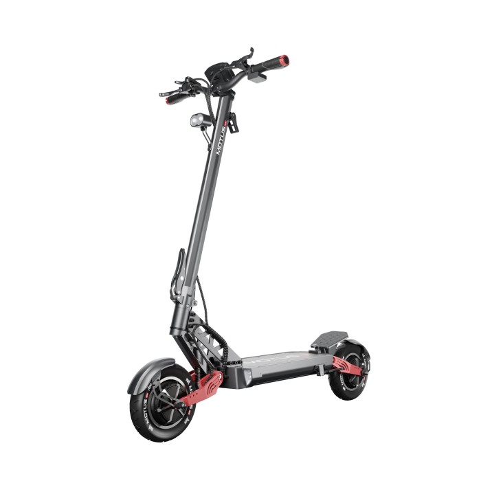 hulajnoga-elektryczna-motus-pro-10-daytona
